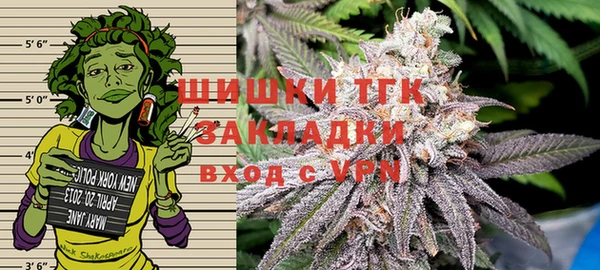 сатива Алексеевка